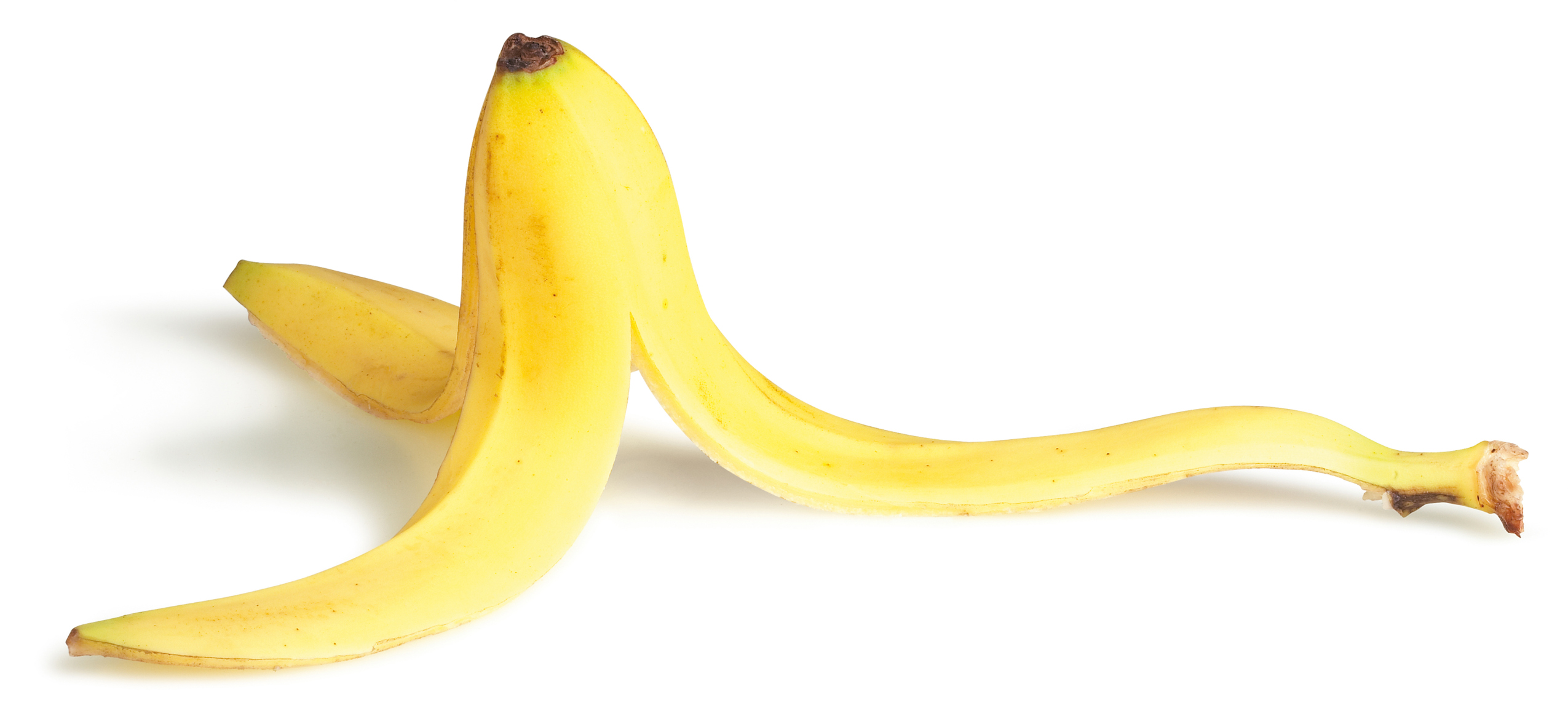 [Image: eHealth-June-13-2015_Amazing-Uses-For-Banana-Peels.jpg]