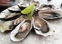 Health Benefits of Oysters