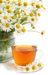 Chamomile has anti-inflammatory properties that could help to treat a number of skin diseases. It could reduce inflammation, heal wounds and prevent itching.