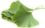 Gingko biloba contains special nutrients that boost circulation and help protect the eyes. The special nutrients in ginkgo biloba.