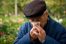 Allergy Problems Could Double by 2040