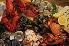Shellfish may actually help fight numerous health conditions.