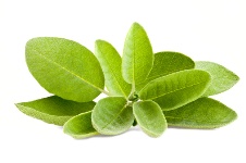 Sage can be used as an herbal tonic to stave off memory problems.