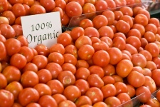 â€œOrganicâ€ means food is grown without the use of pesticides, chemical fertilizers, or subjected to any added hormones.