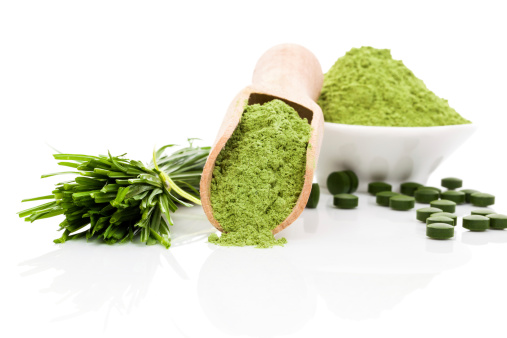 Chlorella can prevent cancer activity