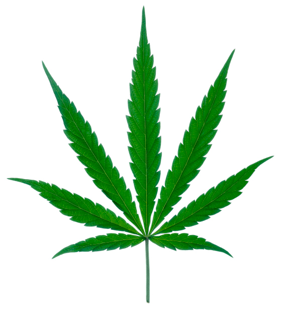 Is Medical Marijuana Effective