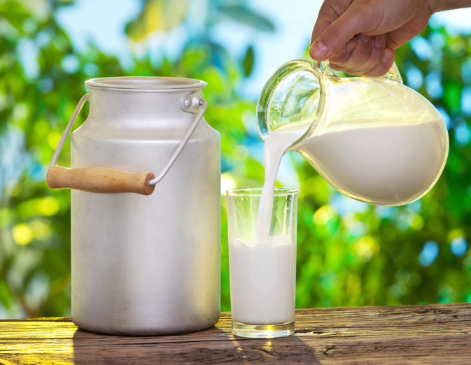 Camel’s Milk the Newest Superfood