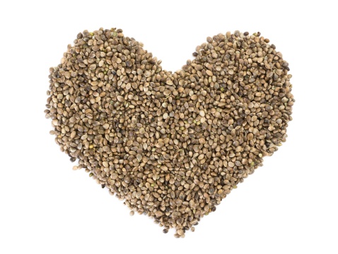 Hemp Seed Protects Your Lungs