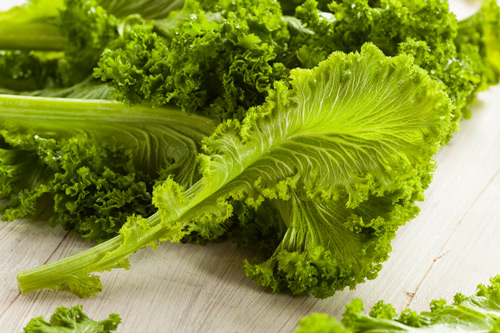 Leafy Green Vegetables Can Lower Glaucoma Risk