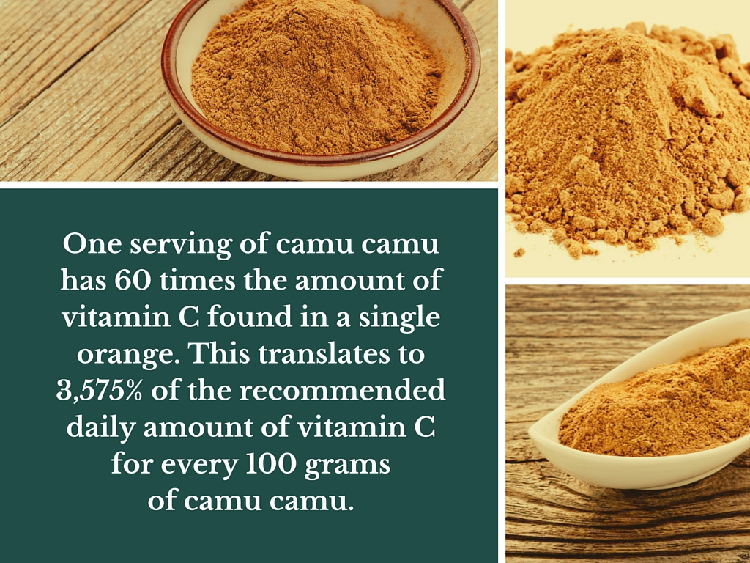 Camu Camu Nutritional Benefits