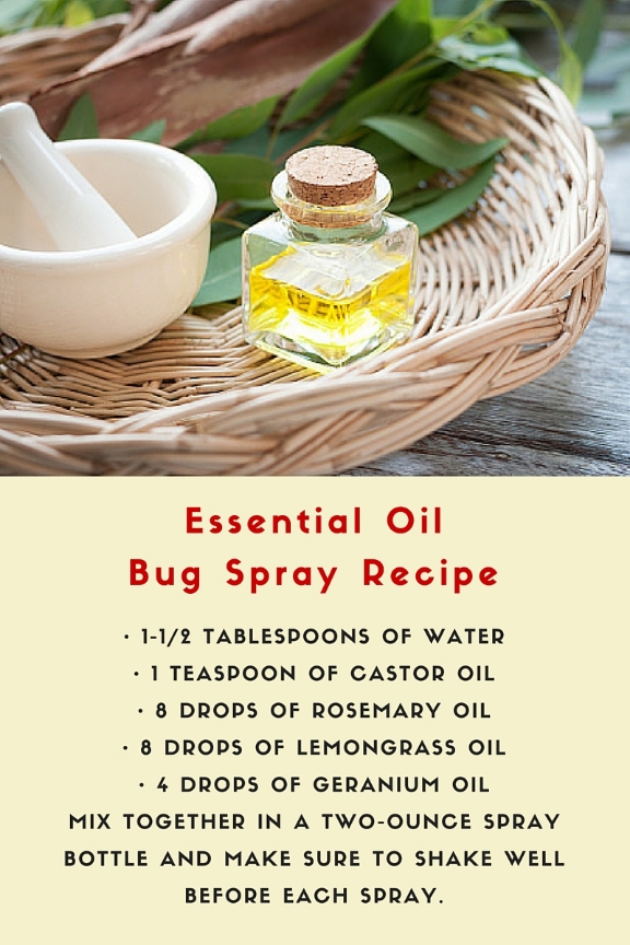 essential oil bug spray recipe