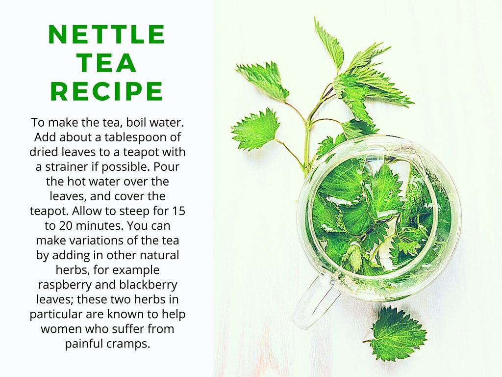 nettle tea recipe
