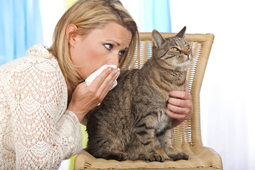 Allergic rhinitis Home remedies