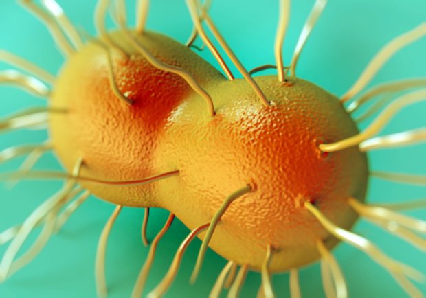 How to Cure Gonorrhea