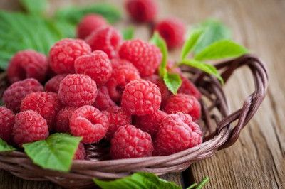 raspberry ketones side effects